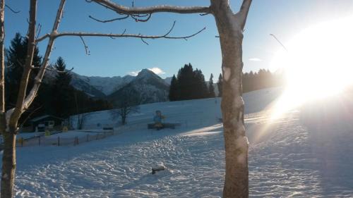 Oberstdorf Hotel | Gasthof Seeweg