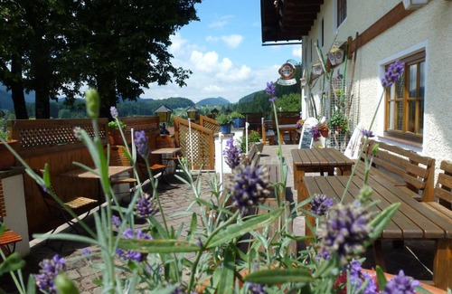 Faistenau Casa | Gasthof Steinbräu