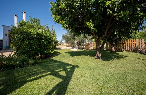Cozzana Casa | Gateway to the Olives