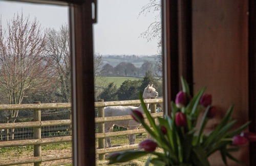 Denstone Casa | Zoes Cottage 5 mins drive to Alton Alpaca`s