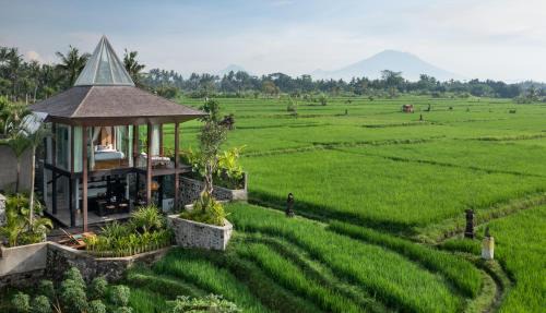 Ubud Complejo | Gdas Bali Health and Wellness Resort - Adult Only