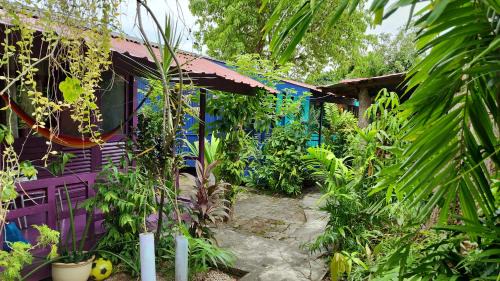 Lubok Buaya Casa | Gecko Guesthouse