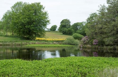 Bontnewydd Casa | Gelli Hir