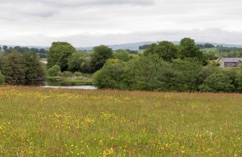 Bontnewydd Casa | Gelli Hir