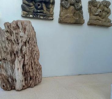 Batuan Casa | Gelombang House