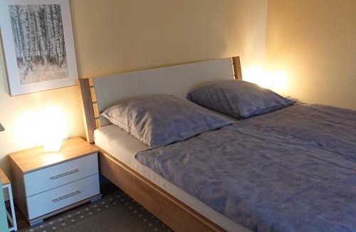 Altenau Apartamento | Gemütliche Ferienwohnung am Nationalpark Harz mit Parkplatz am Haus