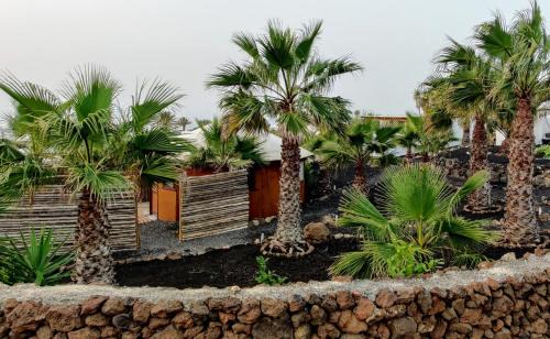 La Asomada Apartamento | Gemütliche Holzjurte La Asomada Lanzarote