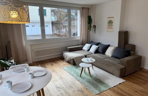 St. Gallen Apartamento | Gemütliche und geräumige 2,5 Zimmer Wohnung mit kostenlosem Parkplatz