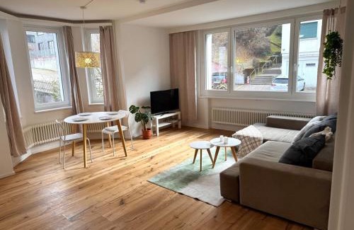 St. Gallen Apartamento | Gemütliche und geräumige 2,5 Zimmer Wohnung mit kostenlosem Parkplatz