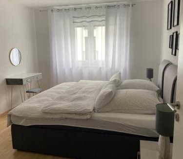 Friedrichshafen Apartamento | Gemütliches City Apartment