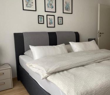 Friedrichshafen Apartamento | Gemütliches City Apartment