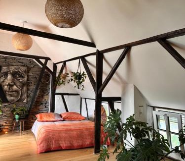 Pellenz Apartamento | Gemütliches Dachzimmer mit Kamin