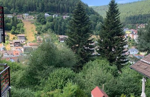Bad Wildbad Apartamento | Gemütliches Einzimmer-Apartment 33
