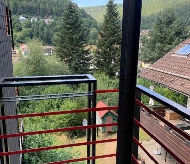 Bad Wildbad Apartamento | Gemütliches Einzimmer-Apartment 33