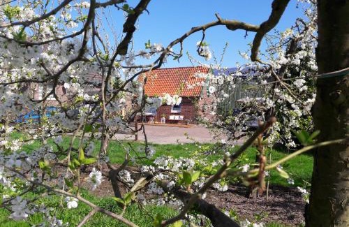 Jork Casa | Gemütliches Häuschen im Alten Land
