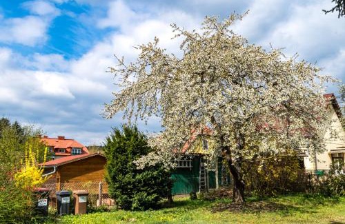 Gars am Kamp Casa | Gemütliches, heimeliges Ferienhaus