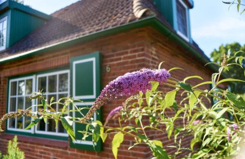 Harmsdorf Casa | Gemütliches Landhaus in Harmsdorf