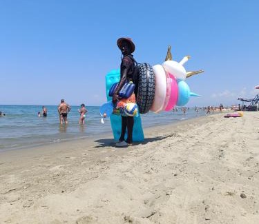 Marina di Pisa Apartamento | Gente di Mare Holiday House