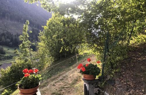 Quinto Apartamento | Genzianella