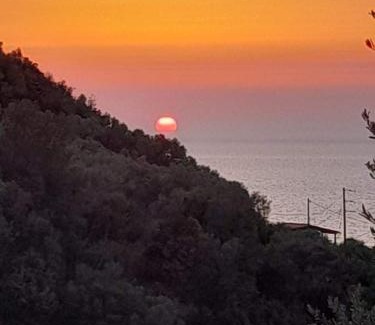 Sfinari Hotel | Georgakas rooms