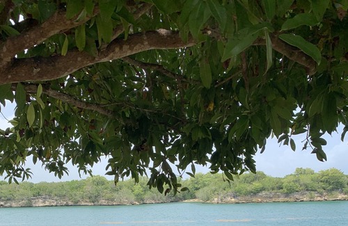 Villa Hermosa Villa | Paraíso de George a 10 minutos de la playa y 2 minutos de excursiones !