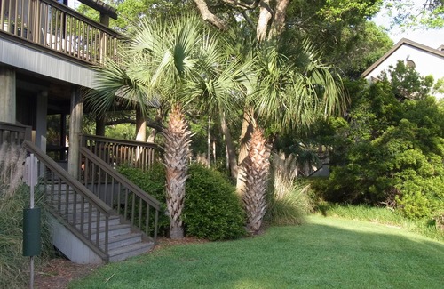 Kiawah Island Villa | Vistas de Georgeous! Walkout villa en la laguna del primer piso. Mascota amigable.