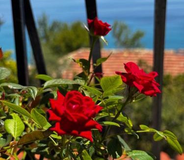 Poros Apartamento | Georgia's Skyview