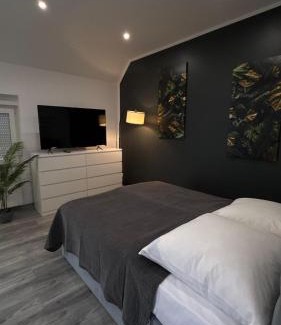 Quakenbruck Apartamento | Geräumige Einzimmerwohnung in Quakenbrück