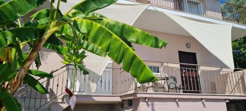 Nikiana Apartamento | Gerys house