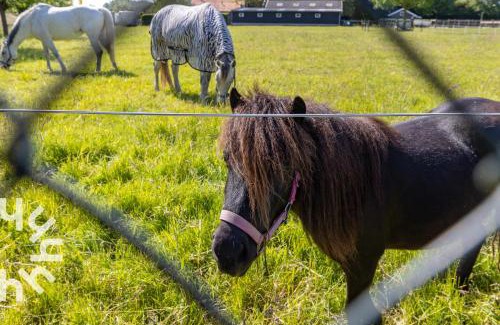 Serooskerke Casa | Gezellig 2-persoons vakantiehuis landelijk gelegen in Serooskerke