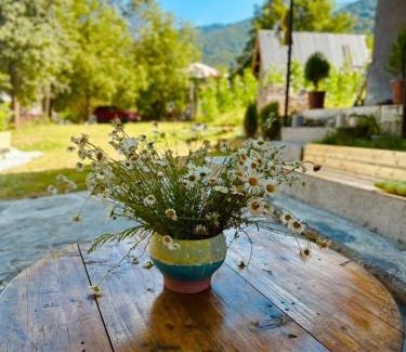 Racha-Lechkhumi and Lower Svaneti Casa | Ghebi Inn