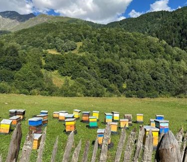 Racha-Lechkhumi and Lower Svaneti Casa | Ghebi Inn