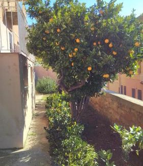 Agrigento Casa | Giardino della Nonna Bice - locazioni turistiche