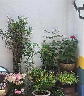Samseon-dong Casa | Gilgaon Hanok Stay