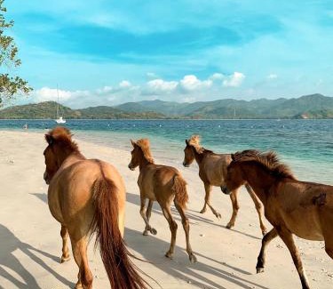 P. Gili Asahan Complejo | Gili Asahan Eco Lodge & Restaurant
