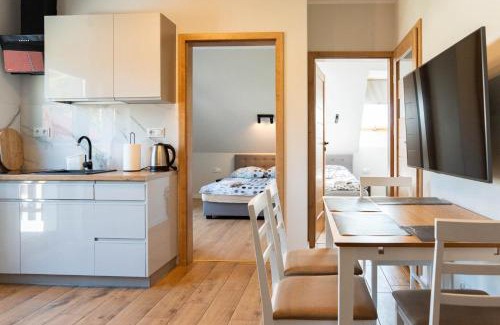 Wilkasy Apartamento | Ginger Apartament