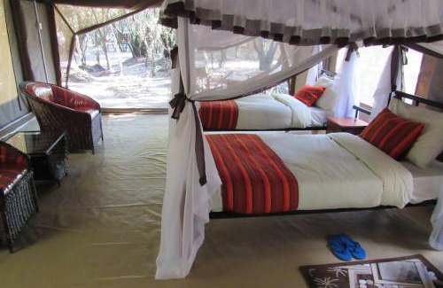 Maasai Mara Casa | Giraff maasai mara home stay&safaris