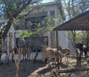 Marloth Park Apartamento | Giraffe Studio @ Kruger