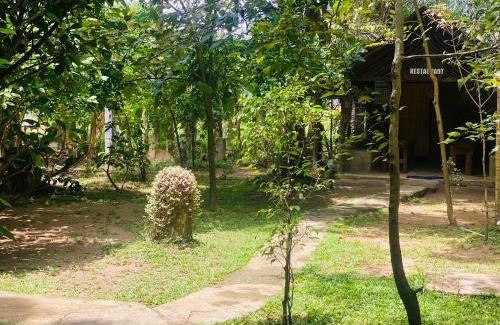 Dambulla Complejo | girilena resort