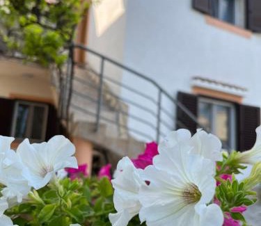 Municipality of Omisalj Apartamento | Gita