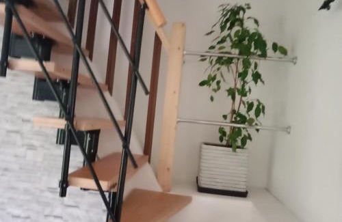 Tregourez Casa | gite au calme centre finistère jardin clos