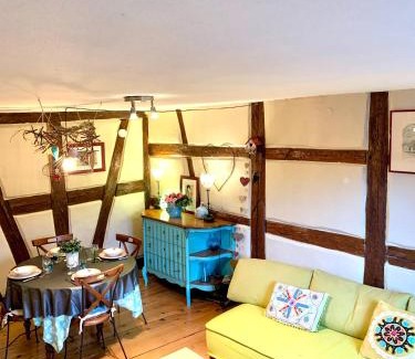 Riquewihr Apartamento | Gite "Au coeur de Riquewihr - vue sur le vignoble" à Riquewihr