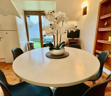 Vernou-sur-Brenne Apartamento | GITE DANINOU; meublé 3 chambres avec terrasse (1er étage du château) , salon et cuisine ouverte