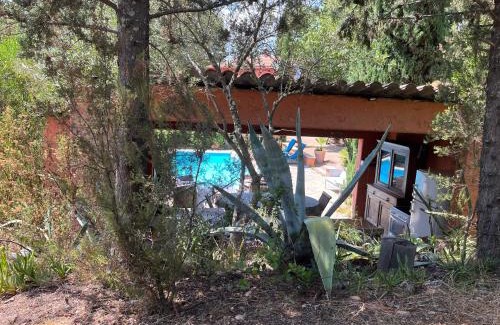 Peri Casa | Gite dans le maquis avec piscine privée