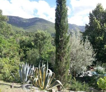 Peri Casa | Gite dans le maquis avec piscine privée