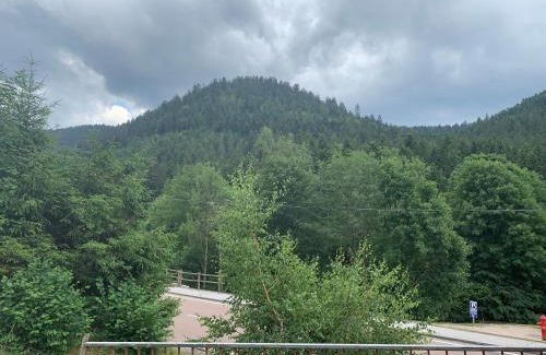 La Bresse Casa | Gite de L'ours
