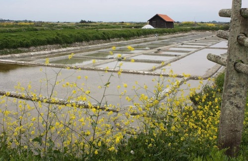 Froidfond Cabaña | Gîte de Mocque-Souris en FROIDFOND entre Mer, Marais y Bocage