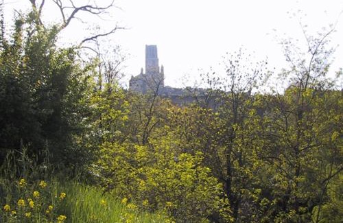 Albi Casa | gite de Pratgraussals