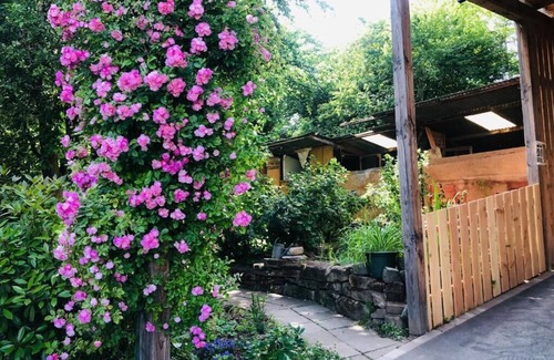 Bischwiller Apartamento | Gite du ried, quiet accommodation surrounded by greenery.