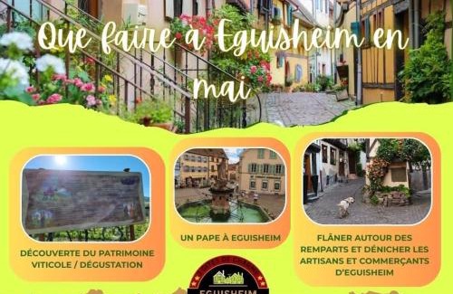 Eguisheim Apartamento | Gite Edelweiss à Eguisheim
